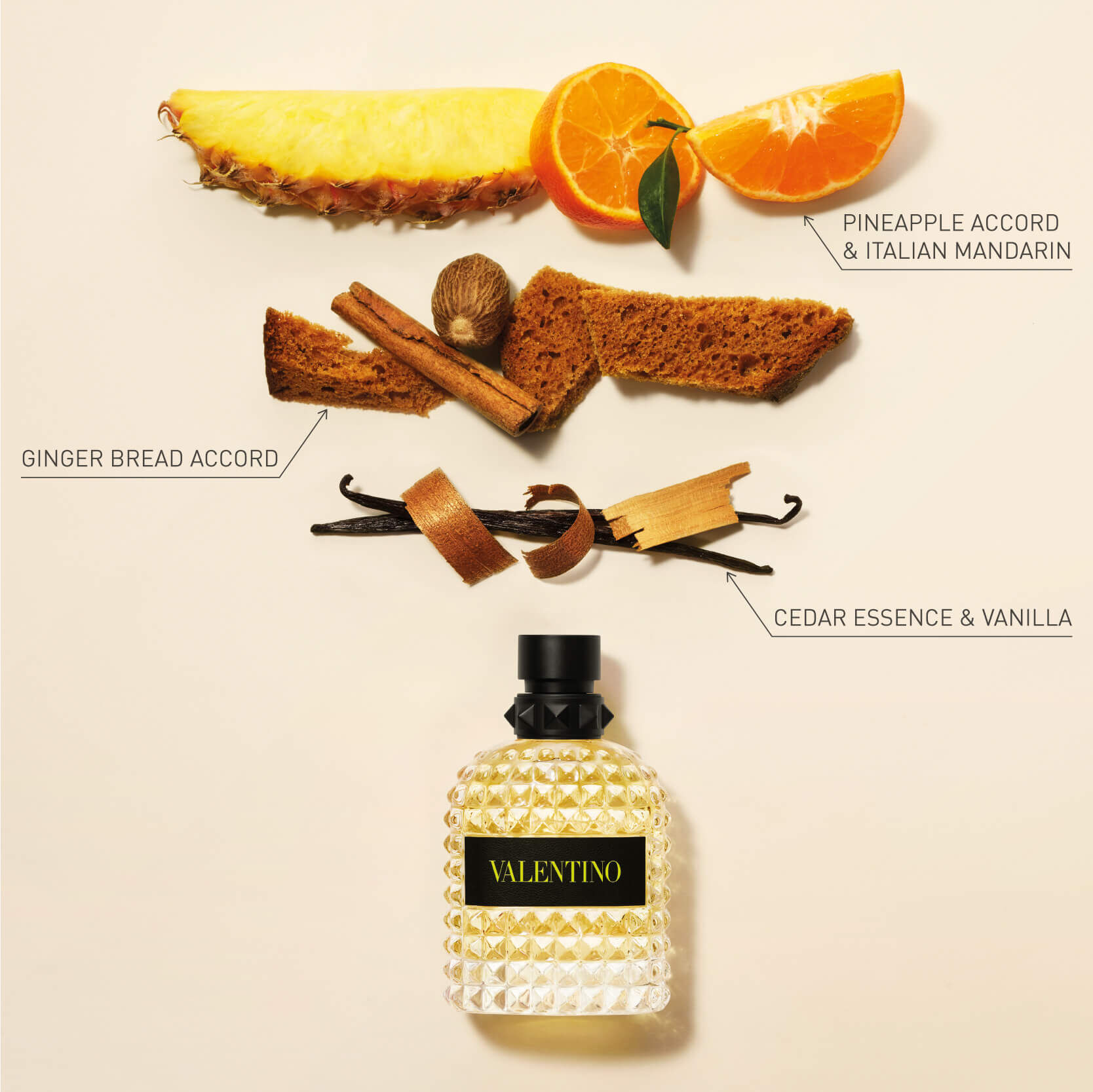 new born in roma yellow dream